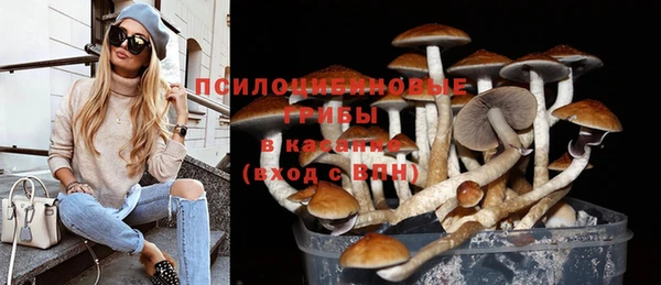 прущий лед Алексеевка