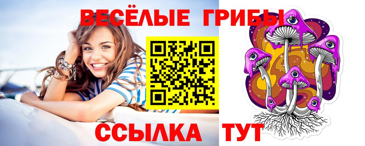Галлюциногенные грибы GOLDEN TEACHER Якутск