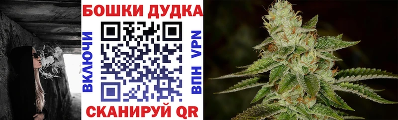 где продают   Якутск  Бошки марихуана ГИДРОПОН 